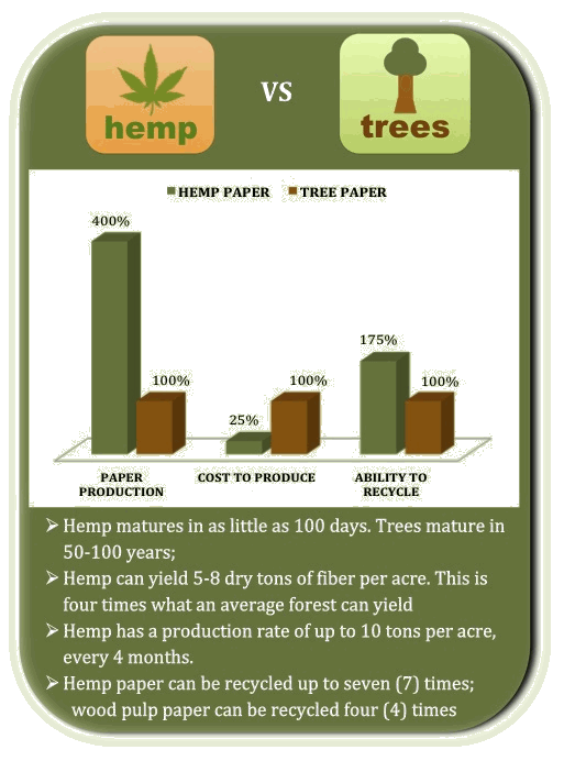 Chart Comparing Hemp Paper and Tree Paper